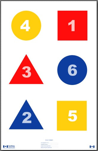 ST36B-FC Skill Training Target 3 ROW 6 SHAPE (100 pack)